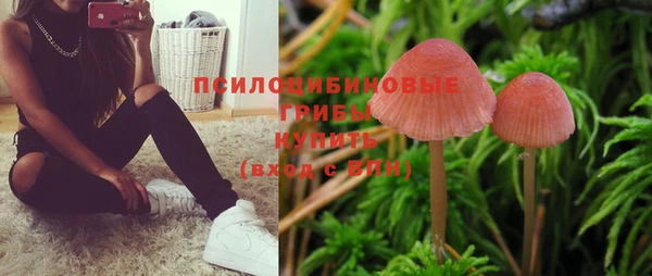 соль курить ск Лагань