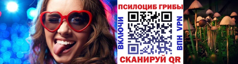 Псилоцибиновые грибы мицелий  Купить где  Олёкминск 